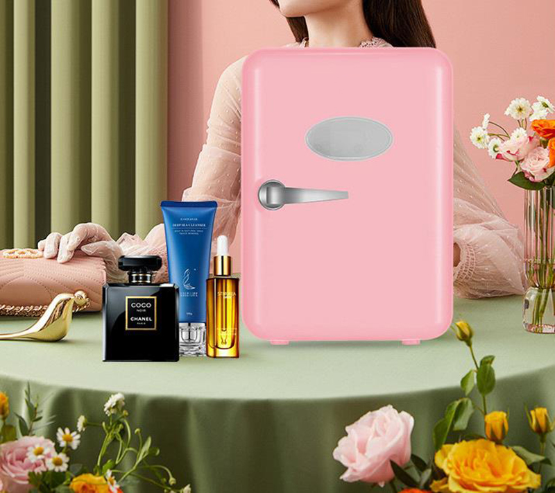Dual-Use 4L Home Car Use Refri - Beauty Makeup Fridge recension och pris